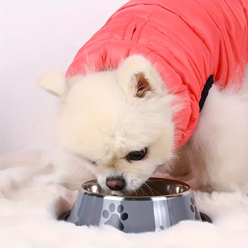 PawPerfect – Rutschfester Edelstahlnapf für Hunde & Katzen 🐾