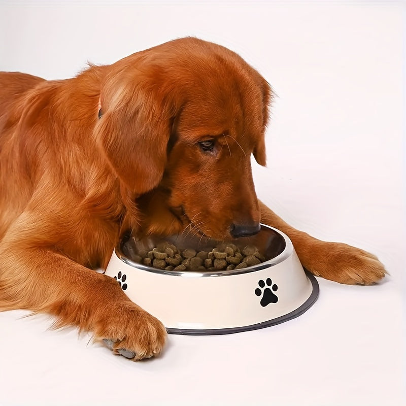 PawPerfect – Rutschfester Edelstahlnapf für Hunde & Katzen 🐾
