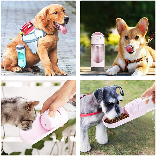 HydroBuddy – Die praktische Trinkflasche für unterwegs 🐾💧